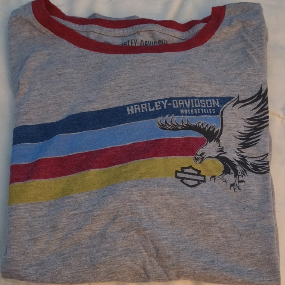 Harley-Davidson Gray Tee with Eagle and Stripes